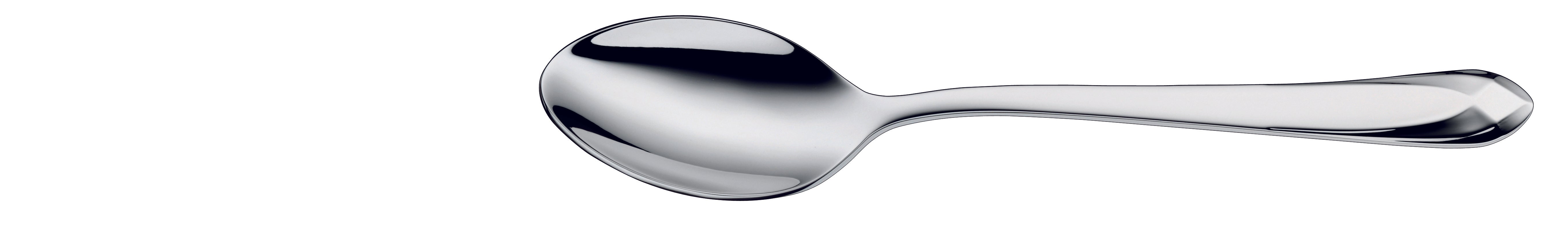 Coffee Spoon, Large 6.3