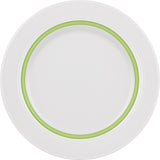 Apple Flat Plate 9.2